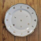 Old SFP porcelain dinner plates