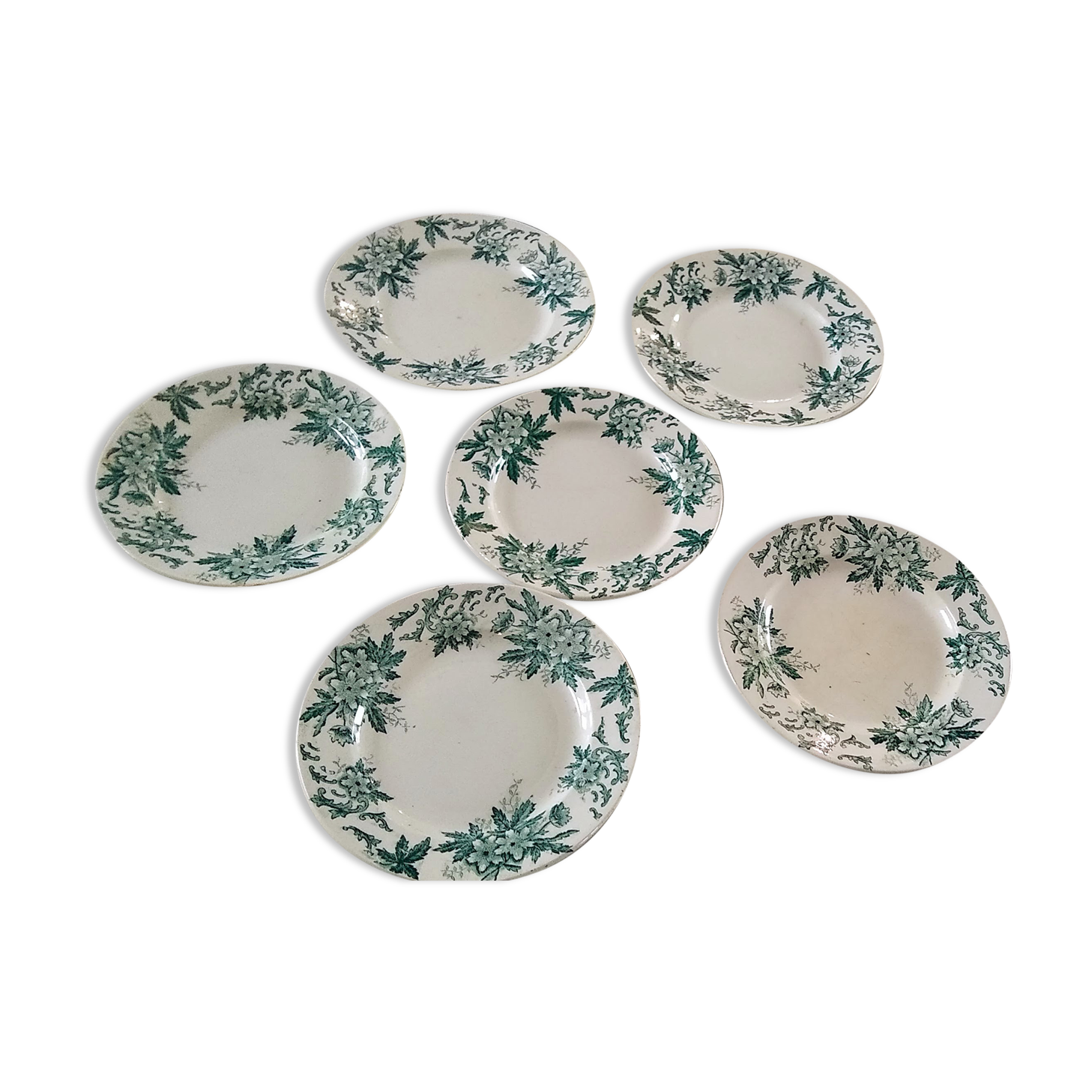 6 flat plates Anémone from St Amand in gray green color