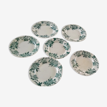 6 assiettes plates Anémone de chez St Amand de couleur vert gris