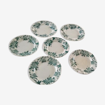 6 flat plates Anémone from St Amand in gray green color