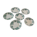 6 flat plates Anémone from St Amand in gray green color