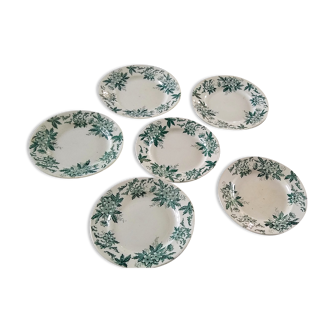 6 flat plates Anémone from St Amand in gray green color