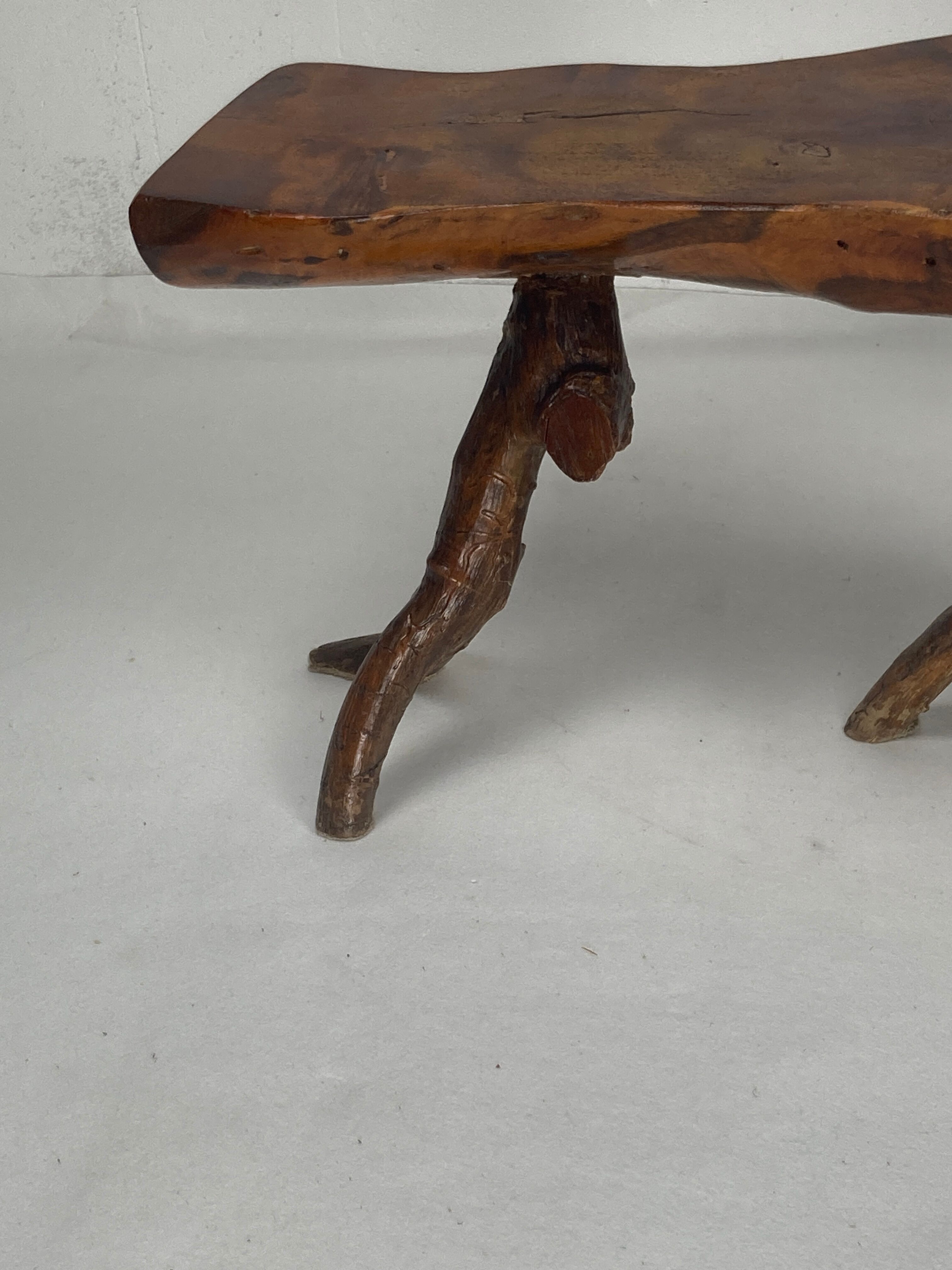 Wabia sabi rustic tree branch side table, Dutch 1960s