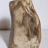 Free form sculpture in fossil wood