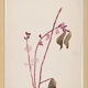 Watercolor illustration flowers
