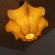 Viscontea lampe, Castiglioni, Flos