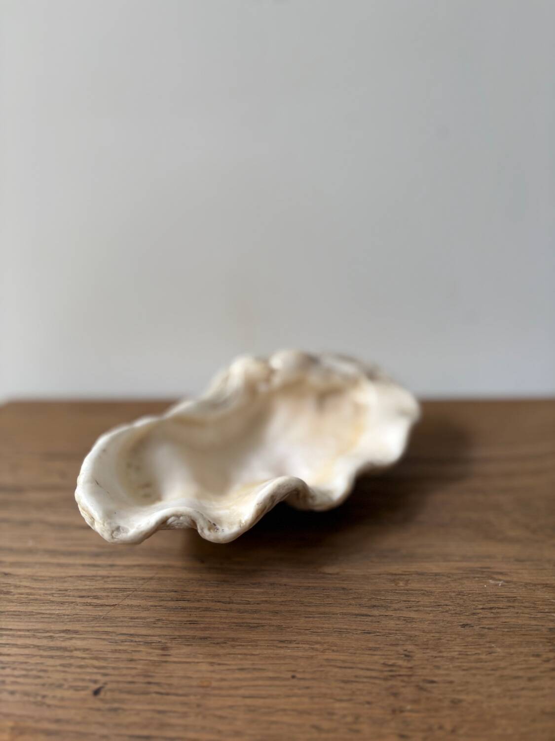 Vintage clam shell