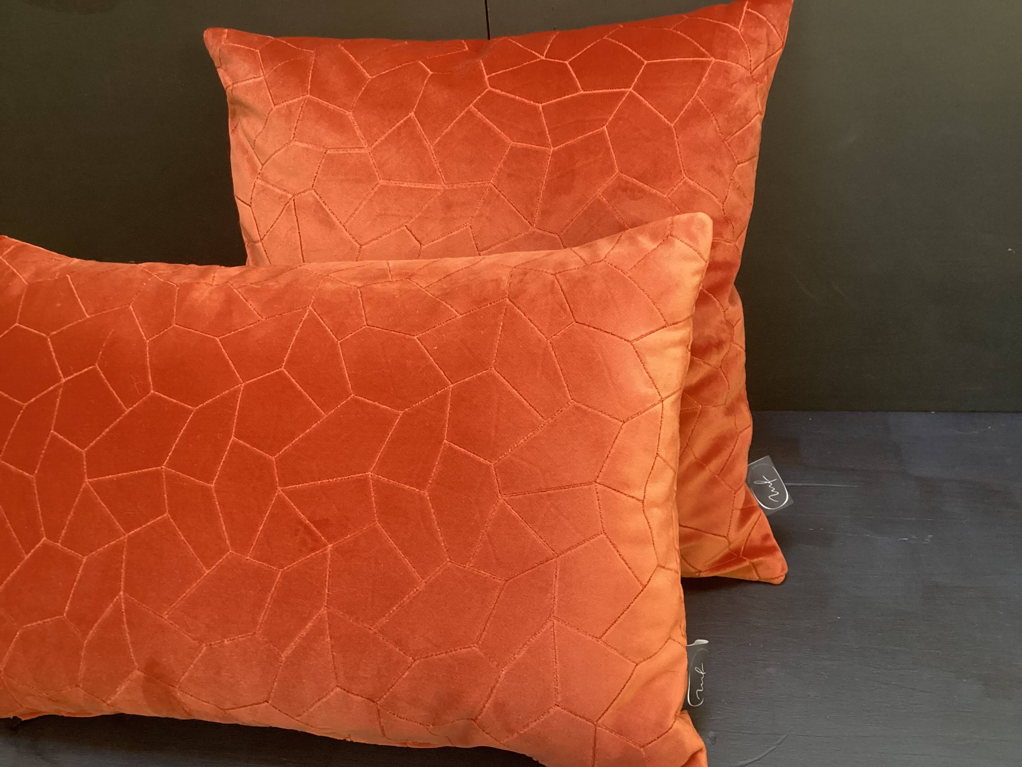 Duo of rust velvet cushions 50x50/40x58 cm