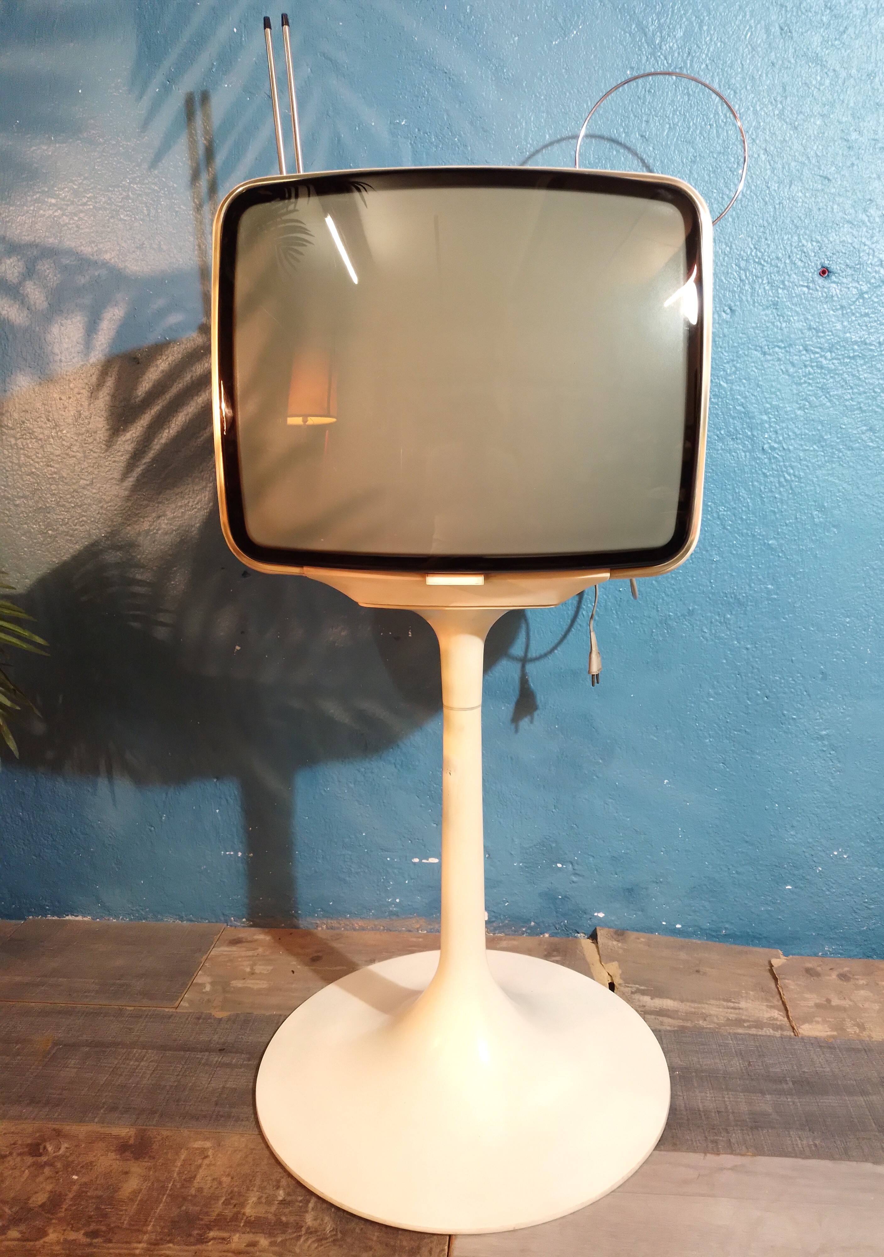 Ribet Desjardins television 1970s