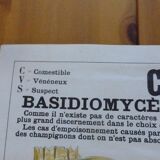 Educational poster DEYROLLE