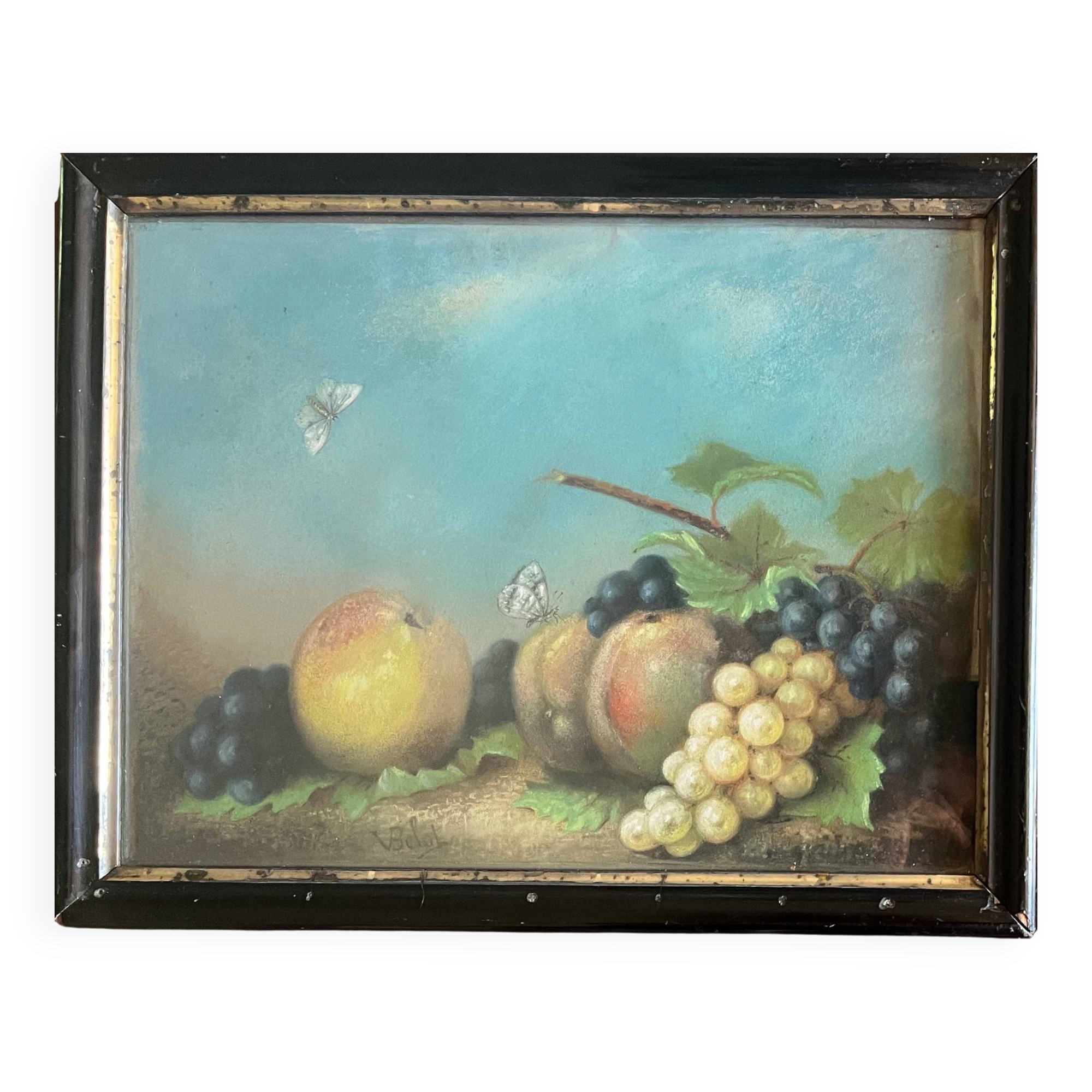 Pastel on paper signed V. Belot 19th century "Still Life with Butterflies"