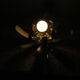 16 petals of metal-light - years 70