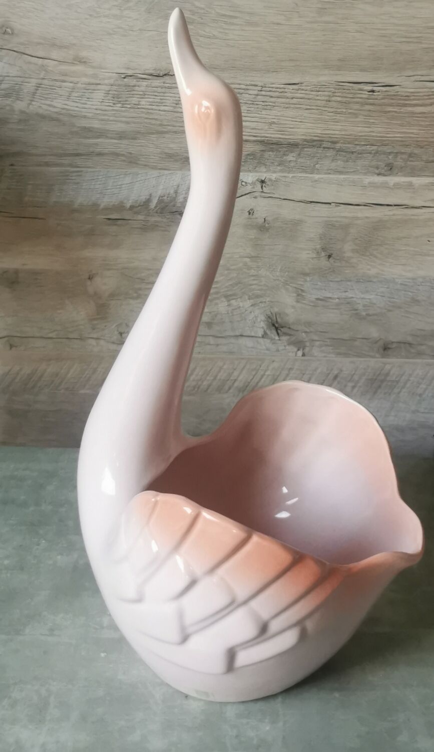 Swan Rigon Roberto Italy