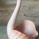 Swan Rigon Roberto Italy