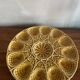 Sarreguemines earthenware oyster dish
