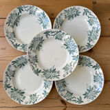Set of 5 antique deep plates "Terre de Fer"
