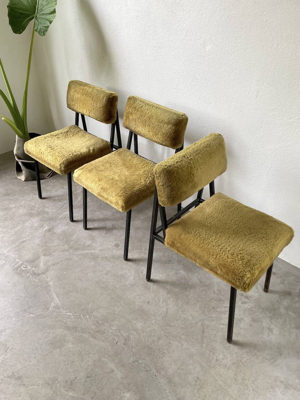 Set de trois chaises années 50