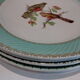 Flat plates water green birds