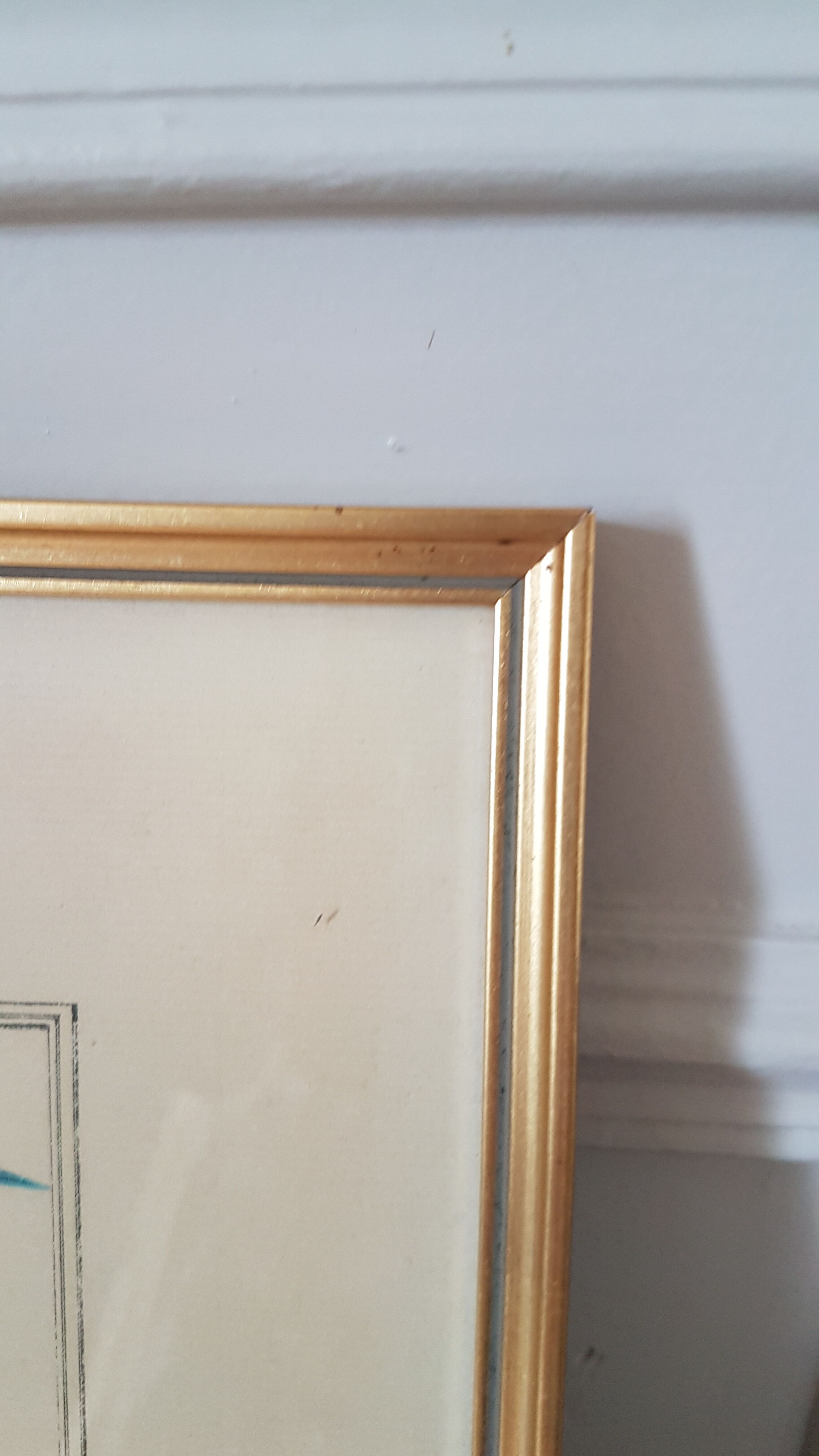 Framed bird engraving