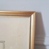 Framed bird engraving