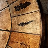 Roger Capron herbarium table