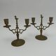 Pair of 19th century bronze candlesticks with bird decor, 2 lights
