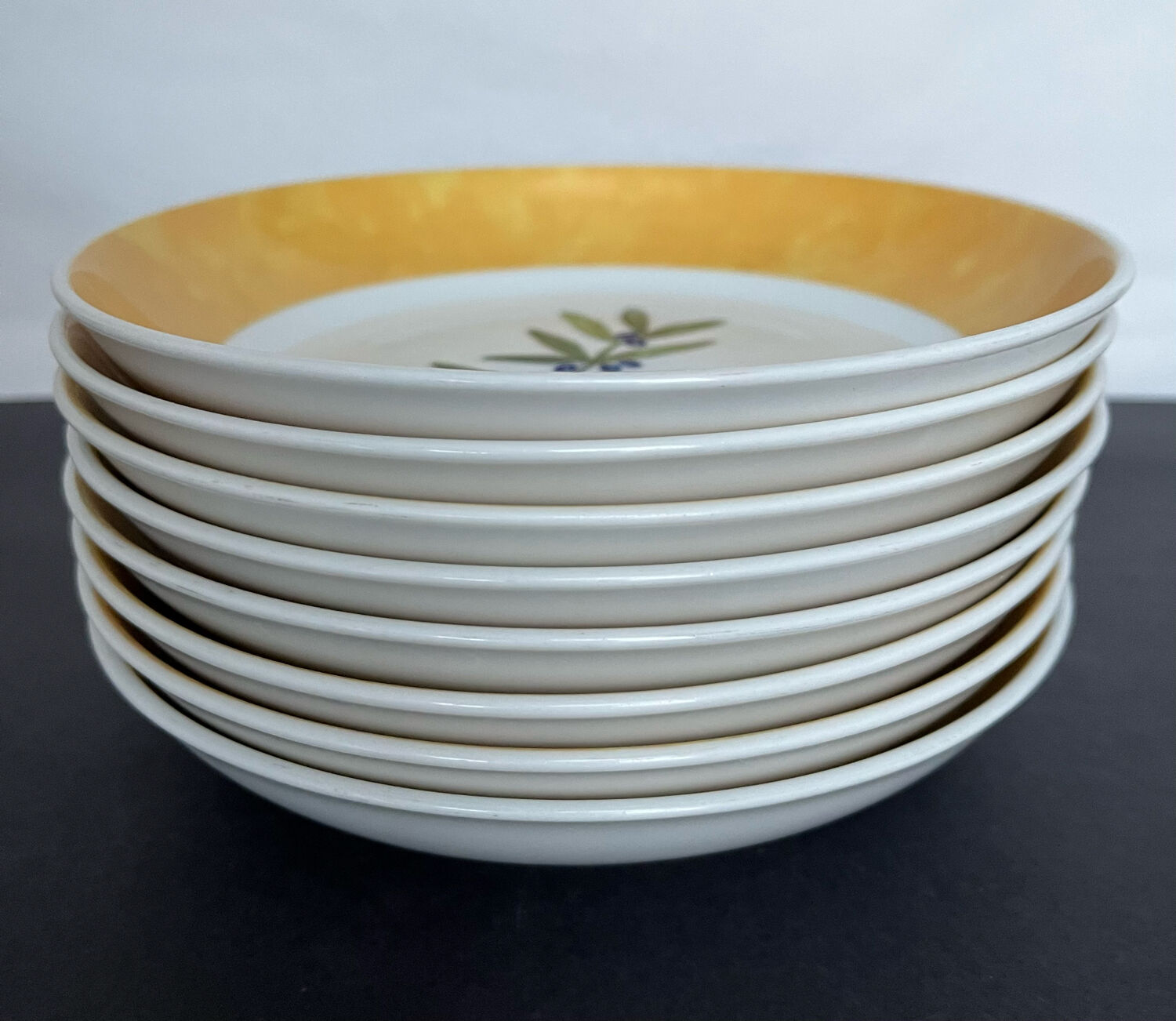 8 plates ceuses Guy Degrenne