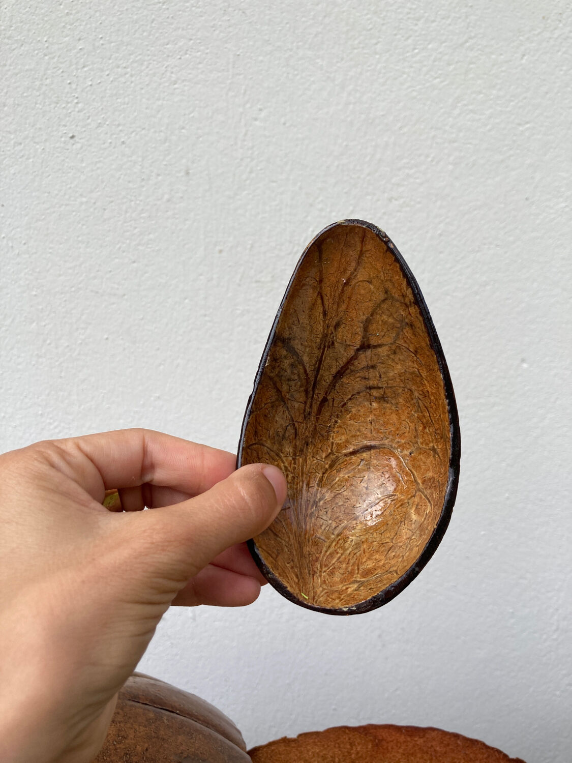 Exotic brutalist coconut ice bucket 1960