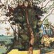 Vintage landscape watercolor