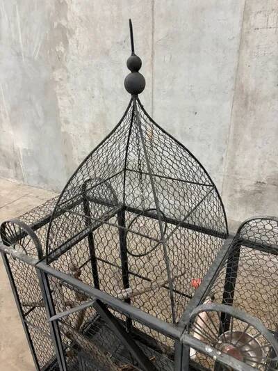 Aviary bird cage