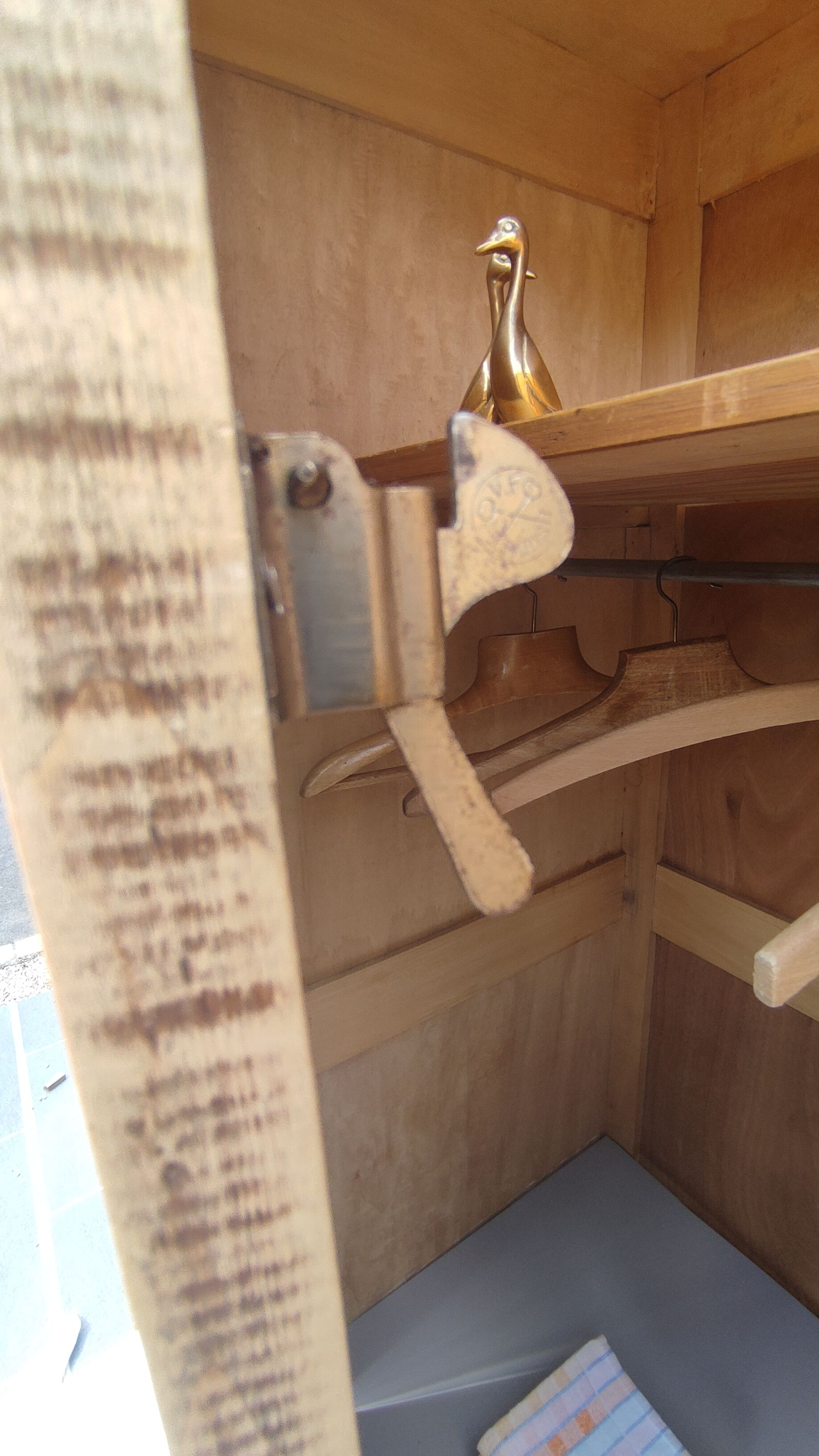 Parisian wardrobe in raw wood