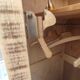 Parisian wardrobe in raw wood