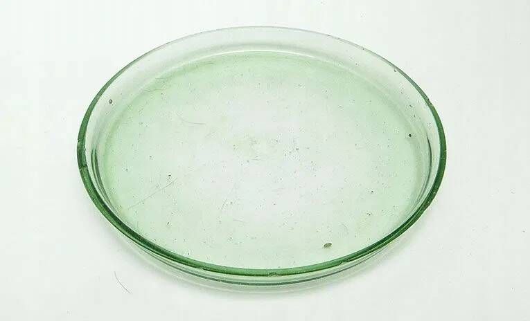 D7X ART DECO Hydrangea tray no. cat 263