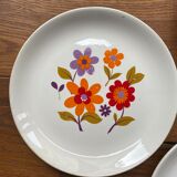 6 old flat plates in French earthenware Moulin des loups