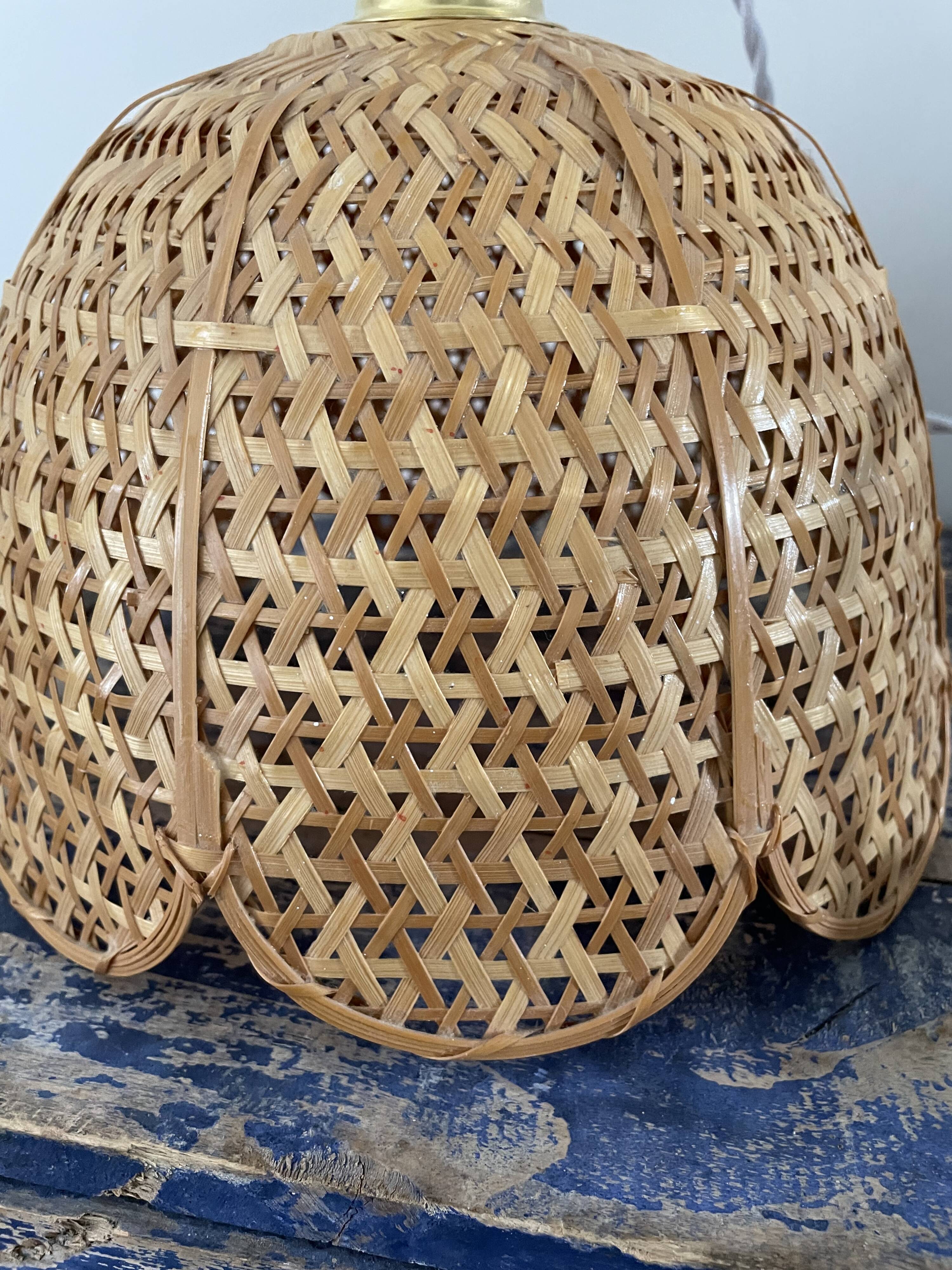 Vintage suspension in electrified braided wicker to nine