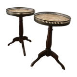 Pair of Louis XVI style pedestas