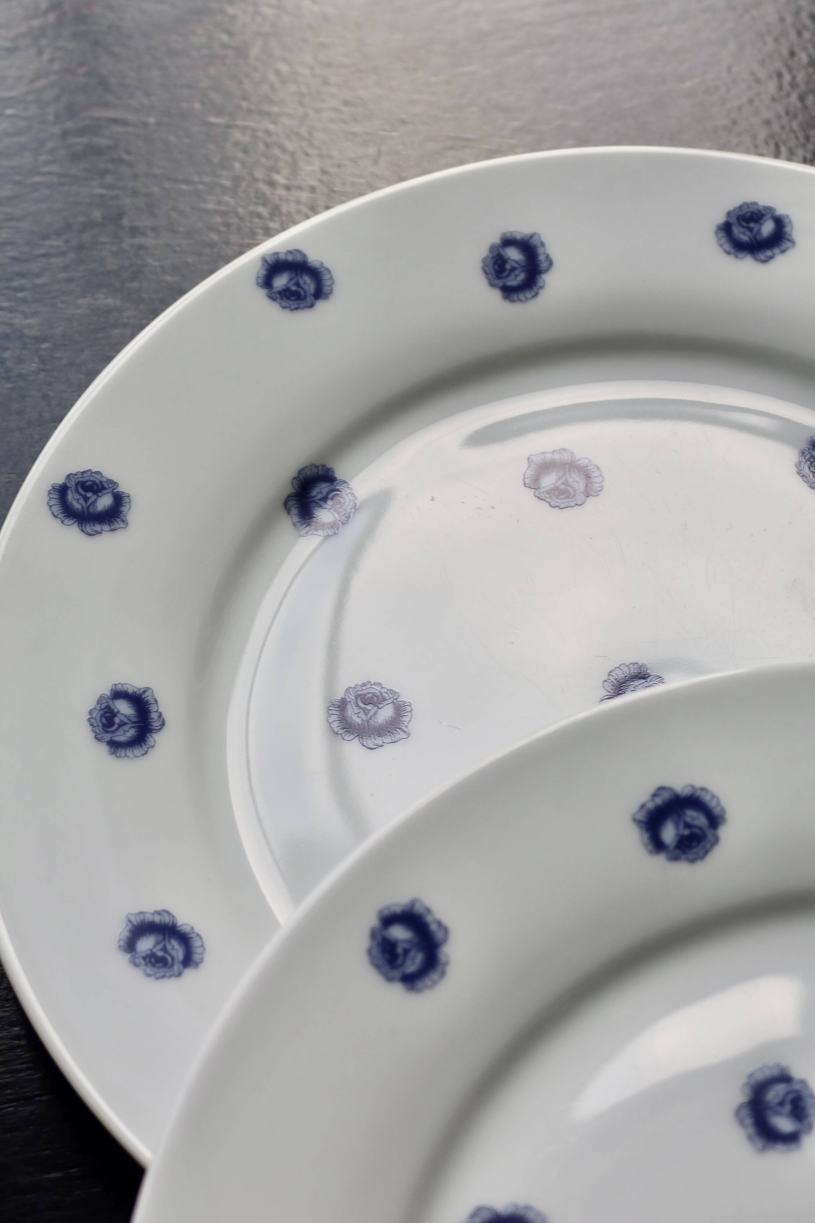 6 vintage white porcelain dinner plates with blue roses