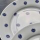 6 vintage white porcelain dinner plates with blue roses