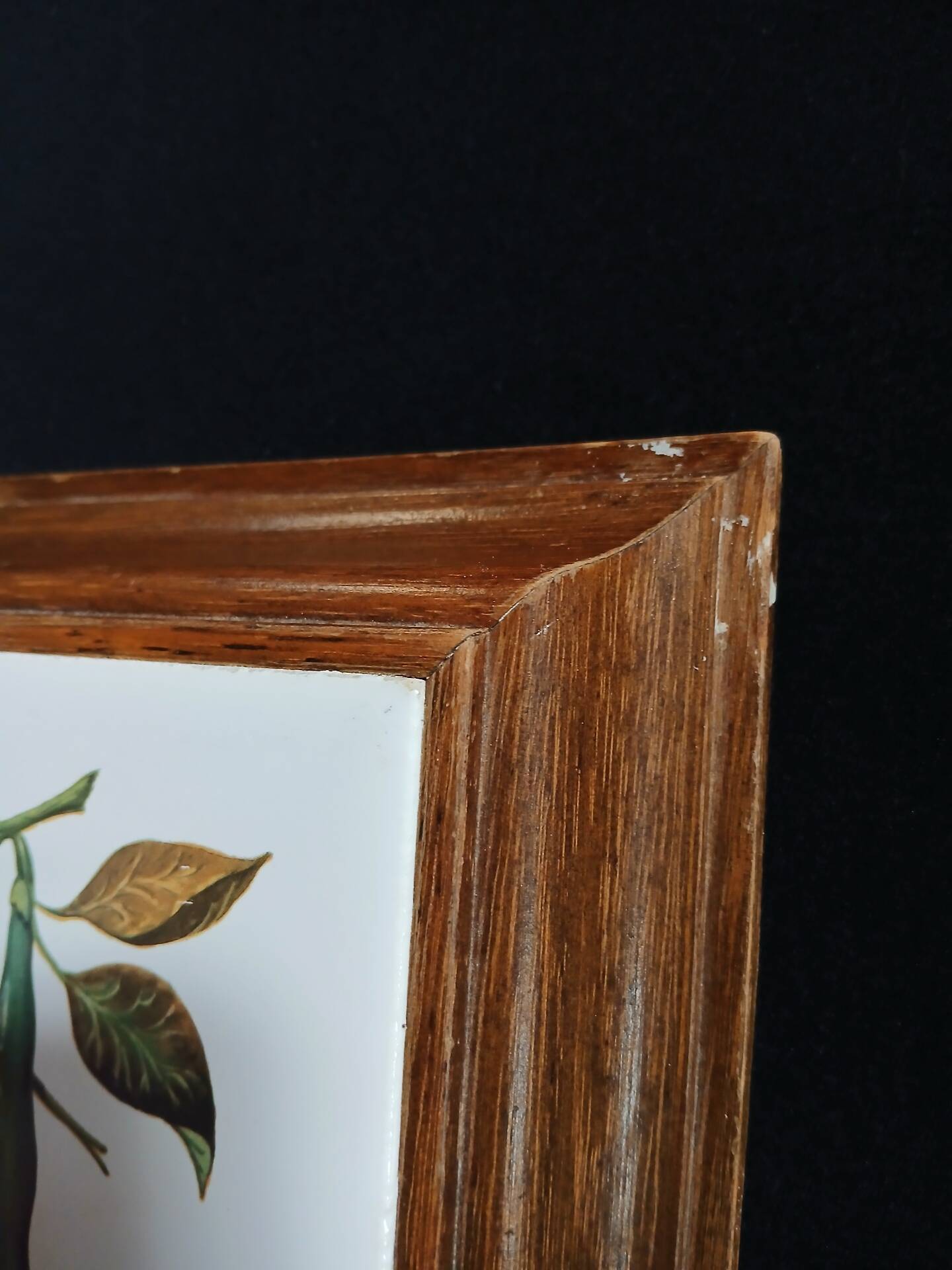 Dessous de plat ancien avec motif botanique