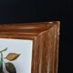 Dessous de plat ancien avec motif botanique