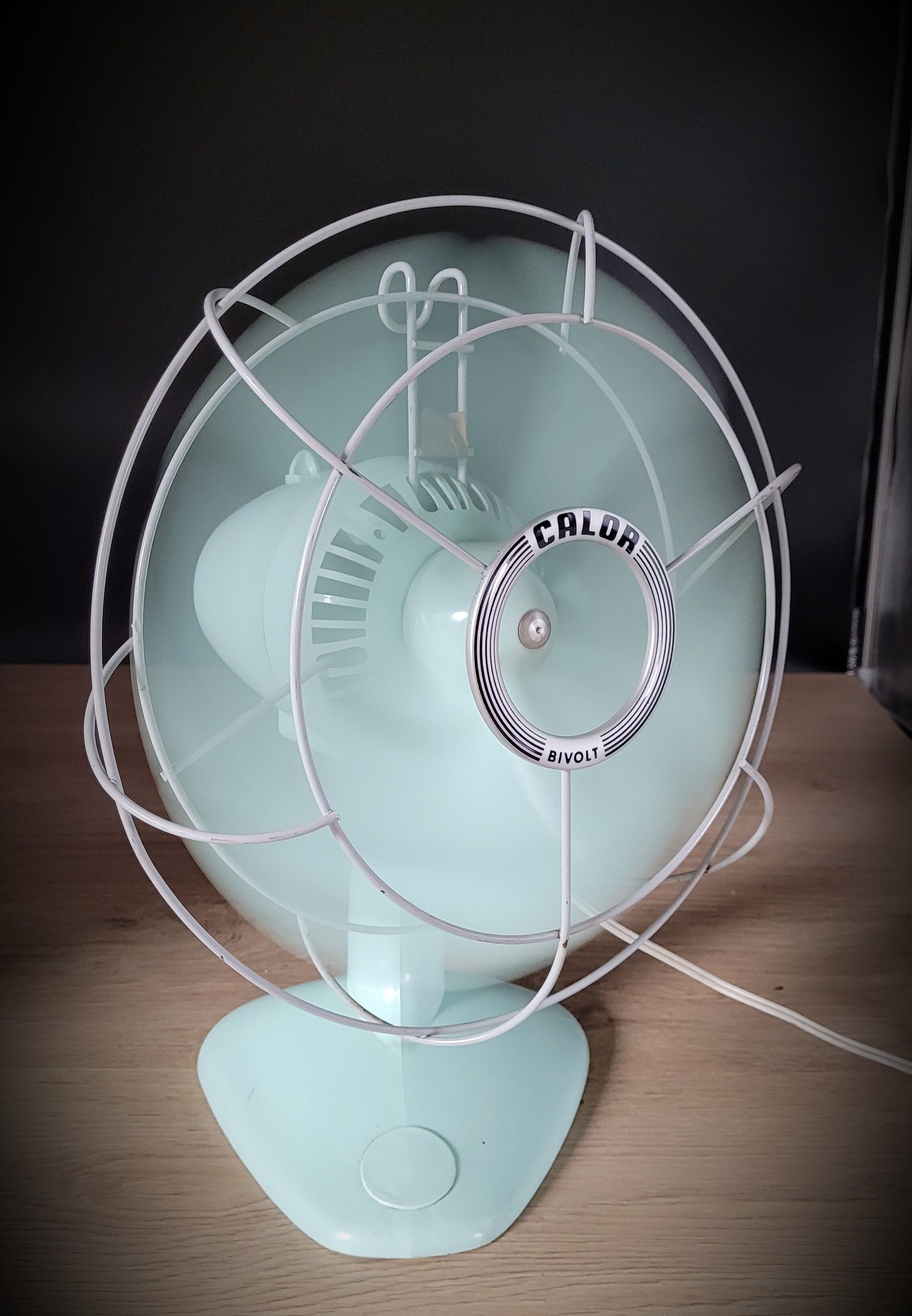 Calor 60s fan