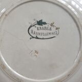 Sarreguemines plate