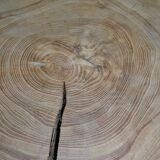 Table basse guéridon en bois brut tronc d'arbre