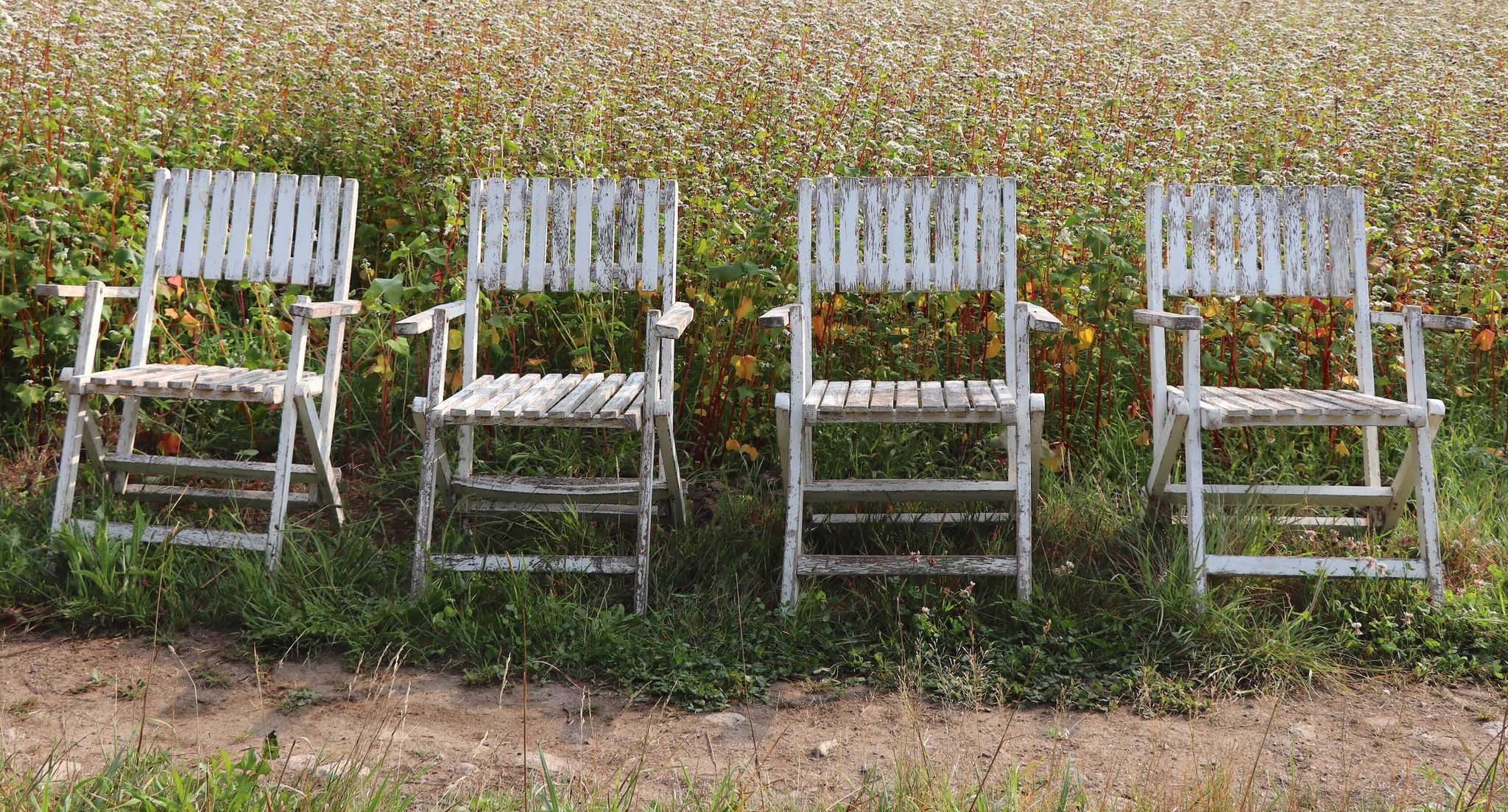 Set of 4 folding garden chairs in slatted wood – 1940 design