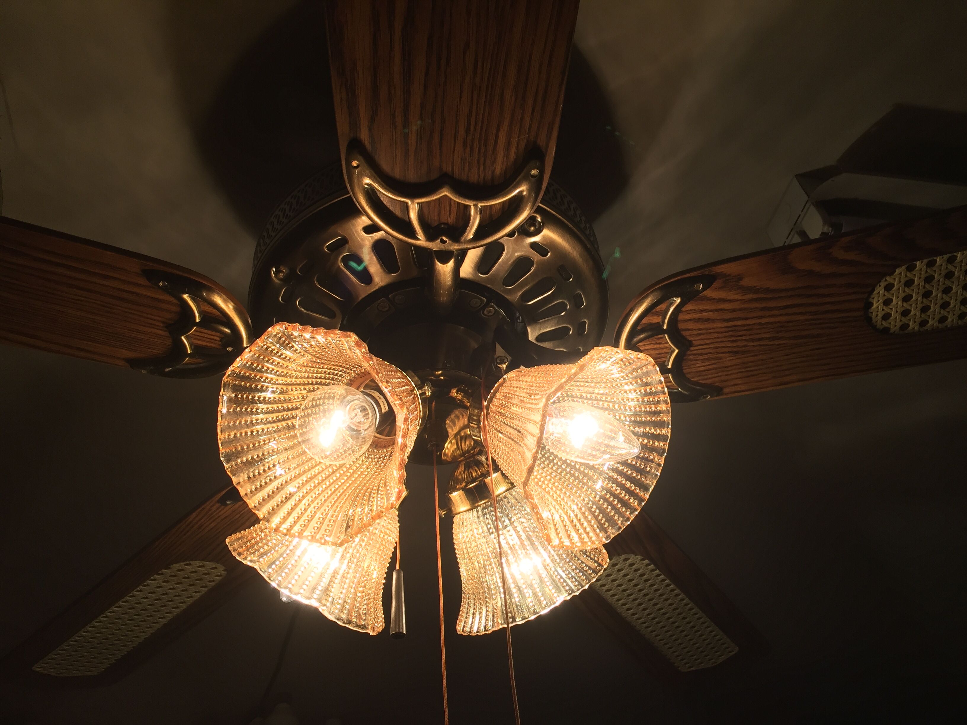 ceiling fan