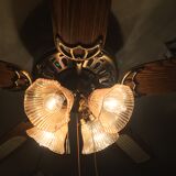 ceiling fan