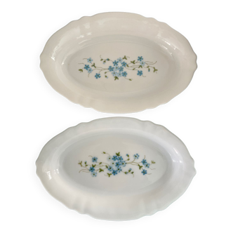 2 plats de service Arcopal Myosotis