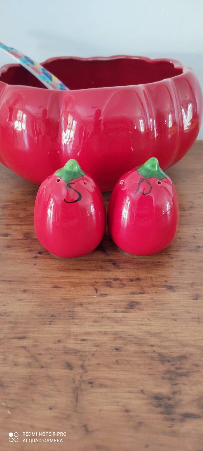Tomato barbotine salad bowl