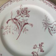 6 assiettes à dessert modèle Fontanges par Sarreguemines