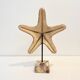 XXL Vintage Natural Starfish on Marble Base Cabinet of Curiosities